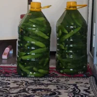 خیارشور