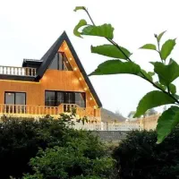 طراحی ویاخت کلبه سویسی|خدمات پیشه و مهارت|مرودشت, رودبال|دیوار