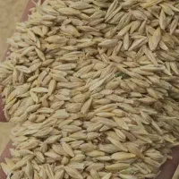 پرس بادام زمینی|حیوانات مزرعه|فامنین, |دیوار