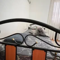 دو عدد تخت خاب تک نفره فرفژه