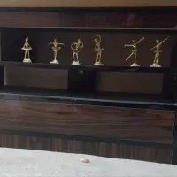 فرش وزیرتلوزیونی|فرش|کرمانشاه, |دیوار