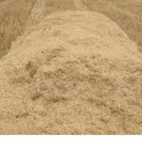 کاه