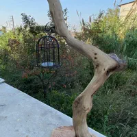 نیروی کار ساده تمام وقت کارگاه چوب و هنر روستیک