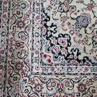 فرش ۹ متری|فرش|چالوس, |دیوار