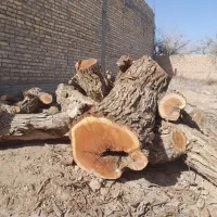 ظروف چوبی خراطی شده|صنایع دستی و سایر لوازم تزئینی|حمیدیا, |دیوار