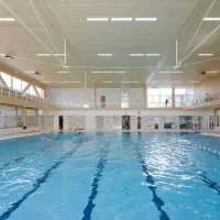 بلیط نیلوفر