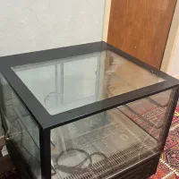 شو کیک سایز بزرگ
