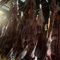 استخدام کمک حسابدار