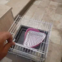 قفس حیوانات|لوازم جانبی حیوانات|قزوین, |دیوار