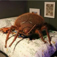 سمپاشی سم پاشی ضدعفونی پردیسان قم شبانه روزی|خدمات نظافت|قم, زنبیل آباد|دیوار