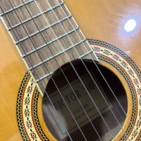 گیتار حرفه ای ویکتور ۳۰۰|گیتار، بیس، امپلیفایر|گنبد کاووس, |دیوار