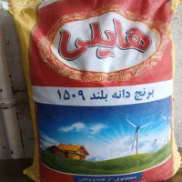 برنج هندی