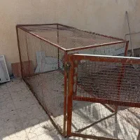 قفس|لوازم جانبی حیوانات|خورموج, |دیوار
