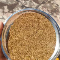 خشکبار ( گلرنگ و کوشه و تخم یونجه و ارزن )|خوردنی و آشامیدنی|اصفهان, قهجاورستان|دیوار