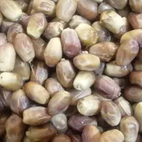 فروش و پخش خرما،۱۰درصد تخفیف تا شب یلدا|خوردنی و آشامیدنی|یزد, |دیوار