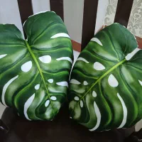 دو عدد کوسن پر شده نونو|رختخواب، بالش، پتو|شهریار, کهنز|دیوار