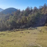 412 متر مشارکت بهزیستی جای خوب