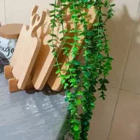 شمشاد خارجی