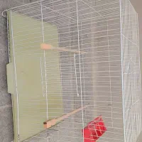 قفس پرندگان|لوازم جانبی حیوانات|مشهد, کلاته برفی|دیوار