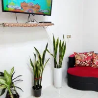 رزرو سوئیت برای مسافرین مرکز شهر|اجارهٔ کوتاه‌مدت آپارتمان و سوئیت|دزفول, |دیوار