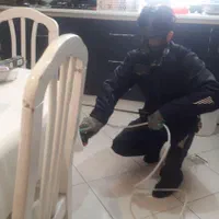 سمپاشی سوسک ساس کنه مایت رودهن پردیس دماوند