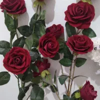 شاخه گل رز و شکوفه