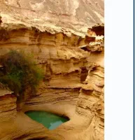 تورقشم،هنگام|تور و چارتر|شیراز, تحویلی|دیوار