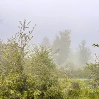 تور یک روزه آبشار شفیع آباد