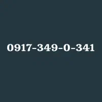 0917-349-0-341