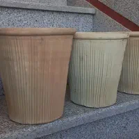 گلدان سفالی بزرگ|گل و گیاه طبیعی|چهاردانگه (تهران), |دیوار