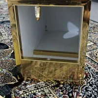 لونه پرنده طوطی برزیلی گیرینچیک هلندی|لوازم جانبی حیوانات|کرج, شهرک فهمیده|دیوار