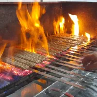 طبخ انواع غذاهای ایرانی