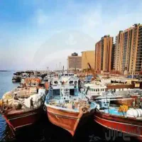 واردات کالا
