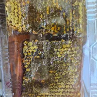 انواع عسل طبیعی