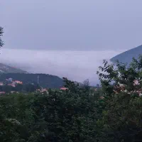 ضامن