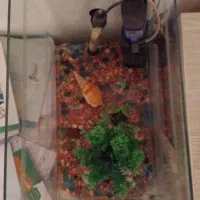 اکواریوم با تمام تجهیزات