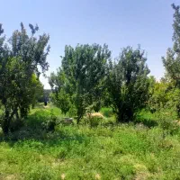 خانه-باغ-در-جاده-سرچم-2300متر