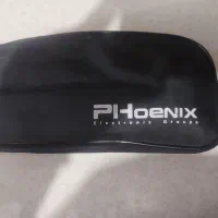 میکروفن داینامیک فونیکس|آلات موسیقی|اصفهان, نقش جهان|دیوار