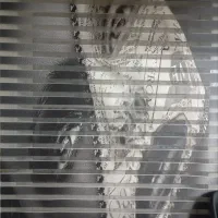 پرده زبرا. درحدنو شیک سالم ابعاد عرض 210ارتفاع 276