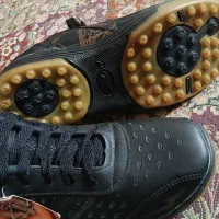 کفش ورزشی|تجهیزات ورزشی|کاشمر, |دیوار