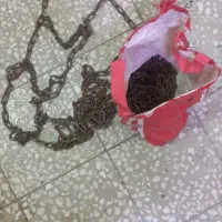 زنجیر چرخ سایپا