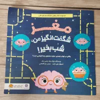 مغز شگفت انگیز من