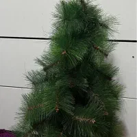 درخت کریسمس