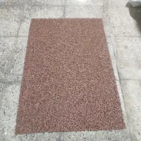 پادری اسفنجی