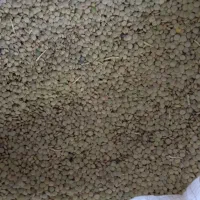 نخود ، عدس|خوردنی و آشامیدنی|بزینه رود, |دیوار