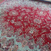 قالی۶متری وتلویزیون