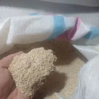 سبوس گندم
