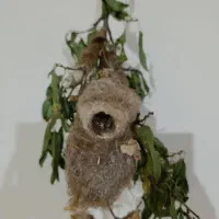 لانهبلبل|لوازم جانبی حیوانات|ایجرود, |دیوار