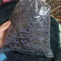 نیاز مالی فروش سریع