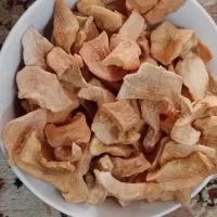کشته سیب .گلابی.وآلبالو کاملا ارگانیک